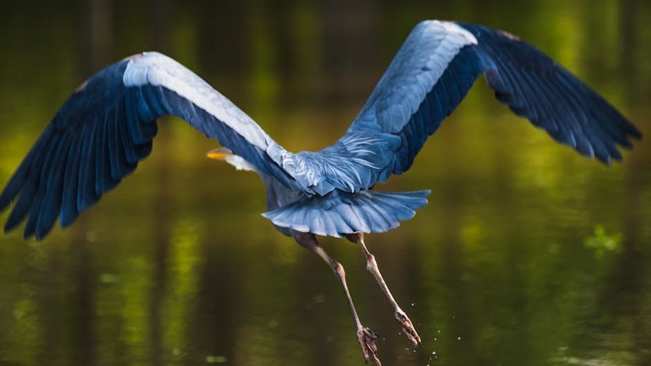Which Wild Bird Reflects Your Zodiac Sign’s Hidden Nature