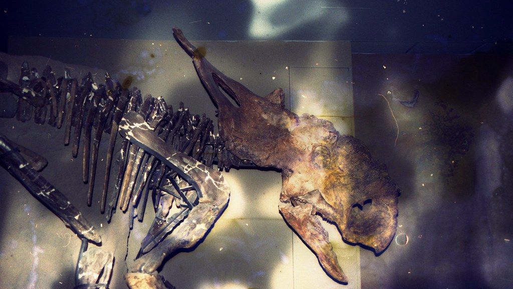 5 Survival Secrets Scientists Discovered in 65-Million-Year-Old Fossils That Doctors Are Now Studying
