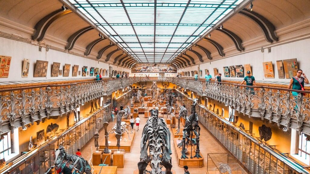 Best Natural History Museums in the US for a Grandparent-Grandchild Trip in 2026