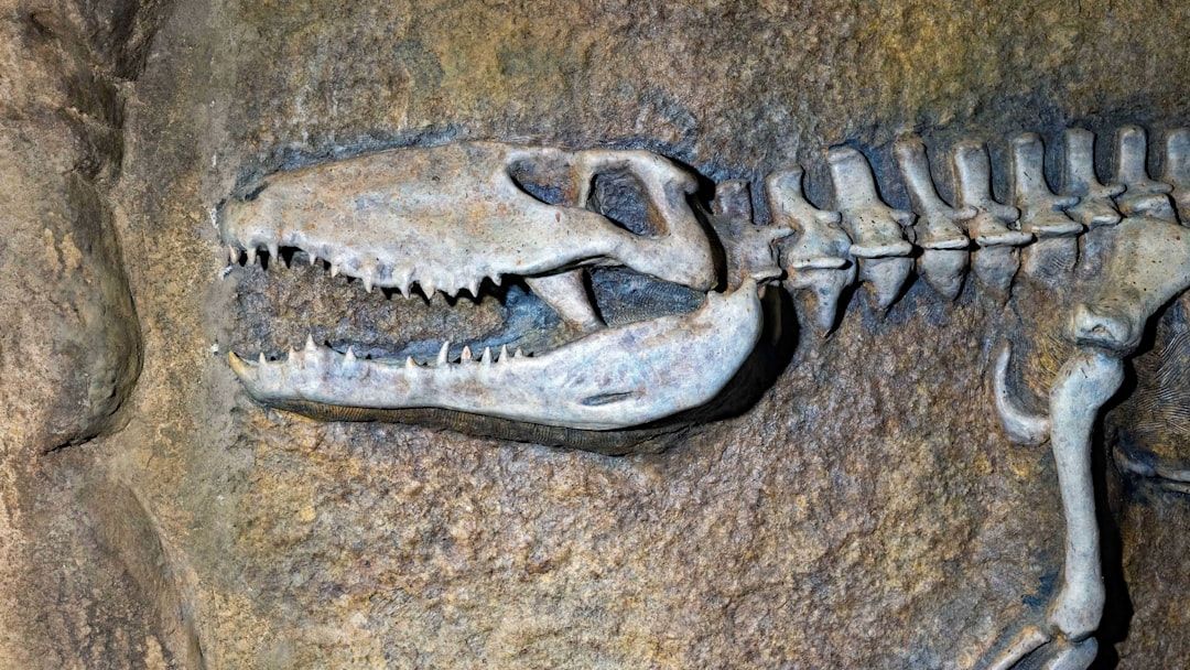 There's a new T. rex from the dinosaur age  -  and it ruled the seas with a skull-crushing bite