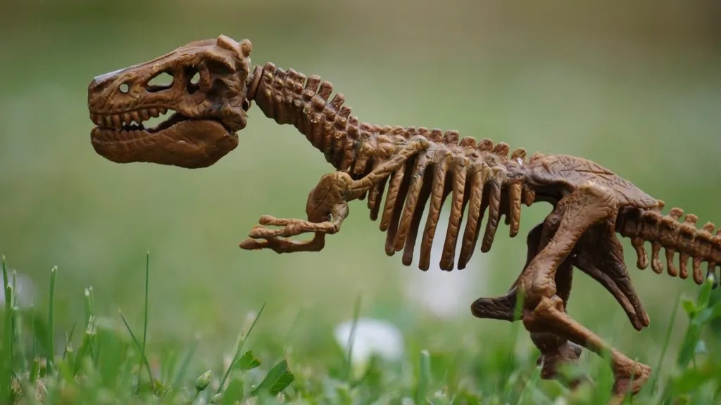 Fake Dinosaur Fossil Scams Are Surging - What Collectors Over 50 Need to Know Before Buying