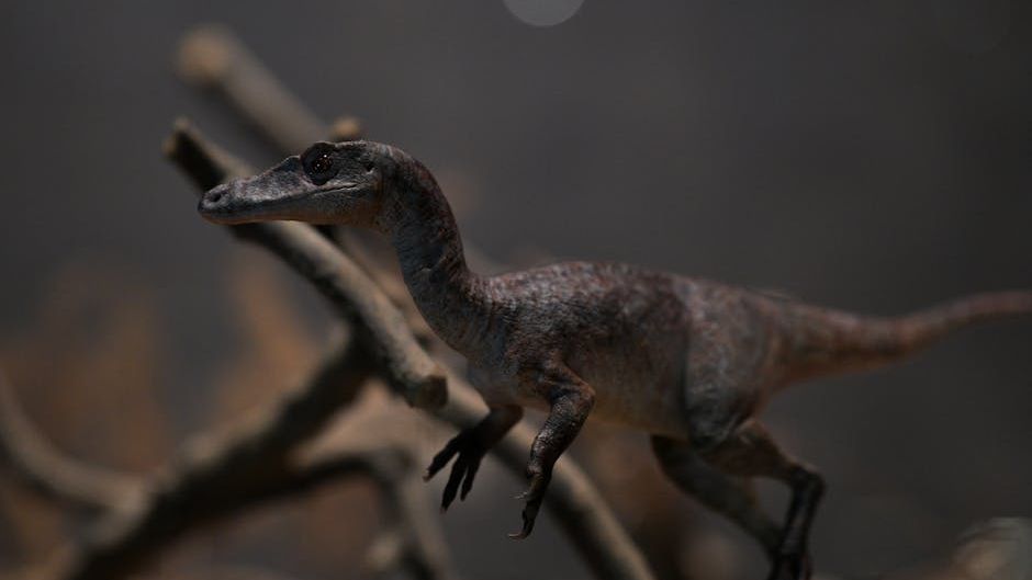 Could Smaller Dinosaurs Have Been Domesticated as Pets Today?