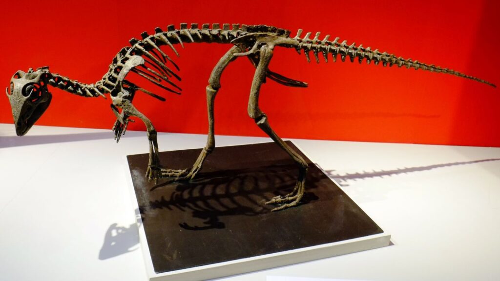 9 Times a Single Dinosaur Fossil Discovery Sent the Scientific Community Into Complete Chaos