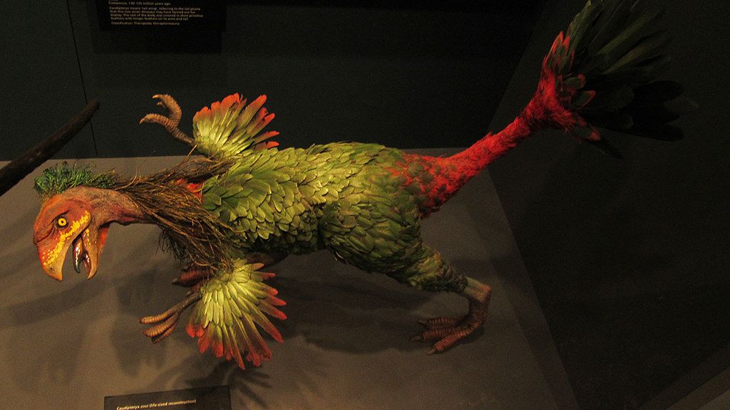 10 Incredible Dinosaurs Discovered in China
