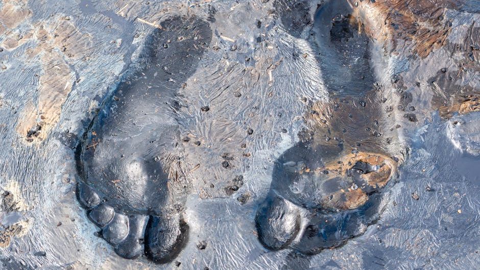Top 5 yeti and abominable snowman sightings