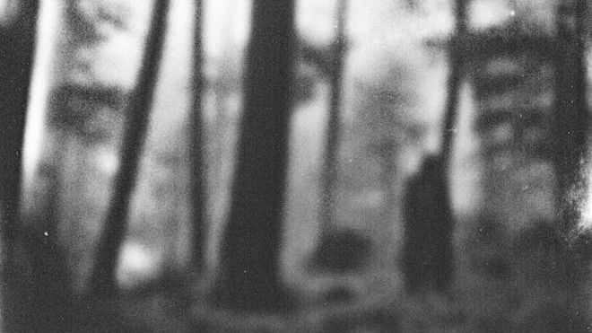 The 10 Most Convincing Bigfoot Sightings