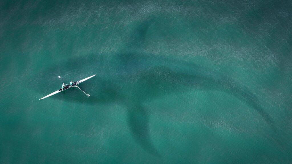 Top 10 Real Megalodon Sightings We Can No Longer Deny