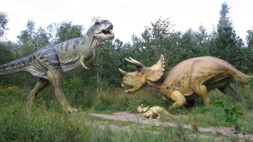 The Main Differences Between a Triceratops vs T-Rex
