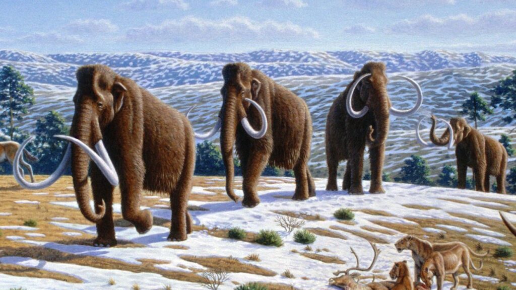 15 jaw-dropping facts about the woolly mammoth that would stop any Ice Age fan in their tracks