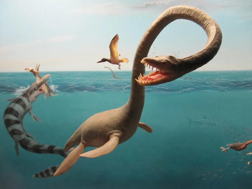 10 Incredible Facts About Prehistoric Ocean Life and Its Mysteries