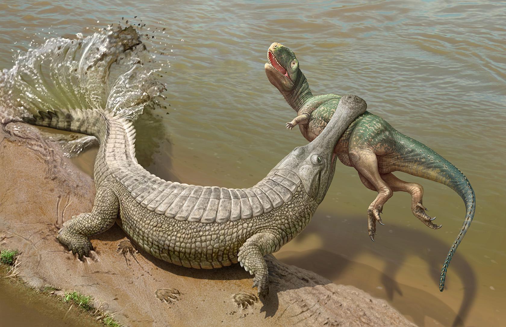 Sarcosuchus – The “SuperCroc” That Hunted Dinosaurs