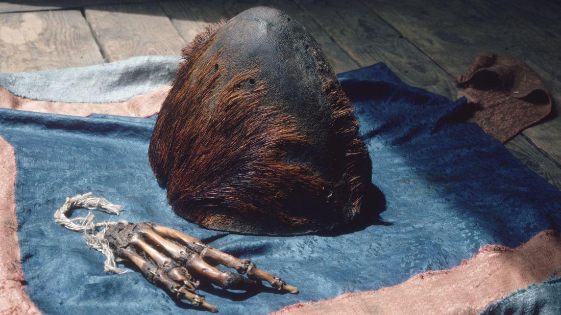 3. The Pangboche “yeti scalp” and “hand”: sacred relics meet modern science