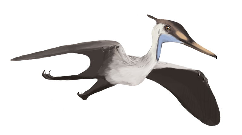 1. Aerodactylus Was Named After a Pokémon, But It’s Completely Real 