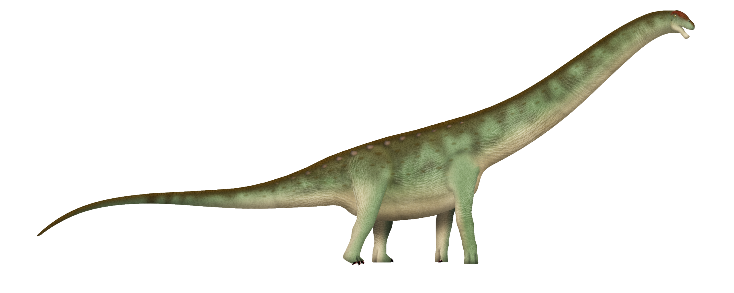You Are Looking at One of the Largest Land Animals Ever 