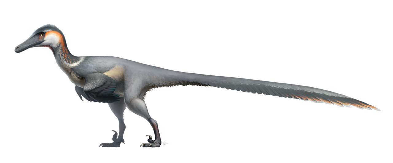 Sagittarius – Austroraptor, the Adventurous Explorer