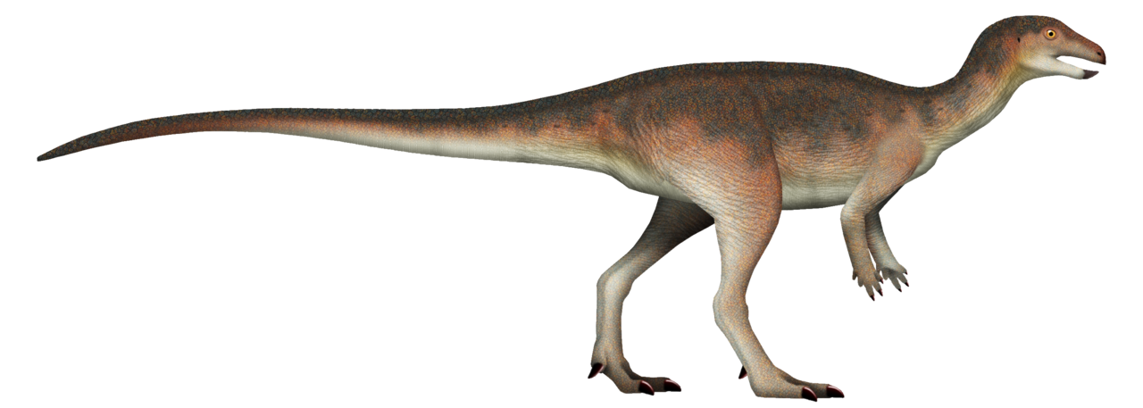 4. Enigmatic Little Dinosaurs Stepped Out Of The Shadows