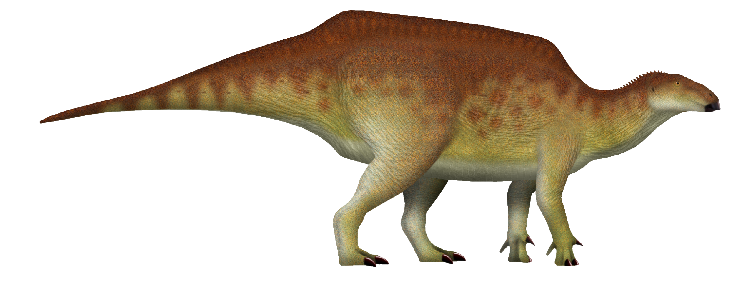 5. New Iguanodonts Showed Just How Crowded Some Ecosystems Were