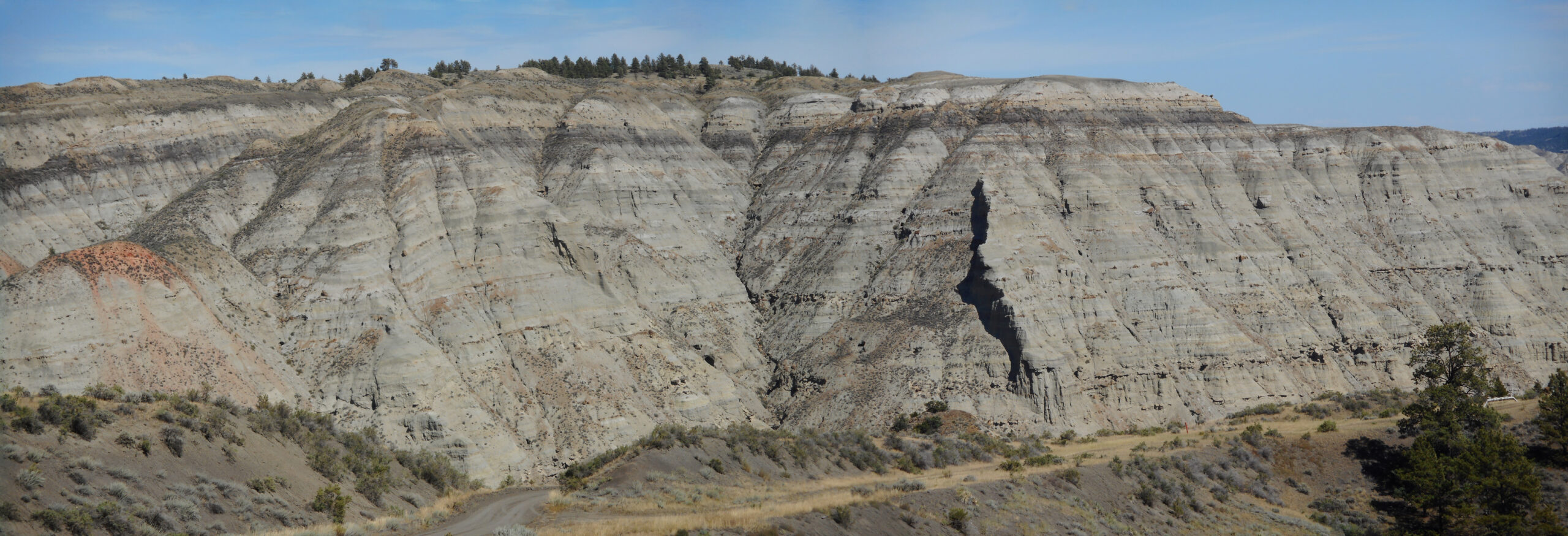 8. Judith River and Two Medicine Formations, Montana – A Growing Cast of Cretaceous Characters