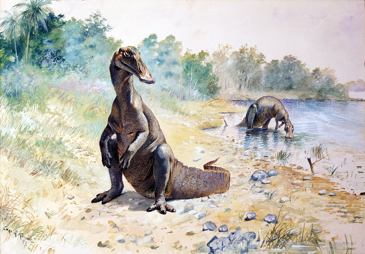3. A Giant Duck‑Billed “Cow Of The Cretaceous” Finally Got A Name