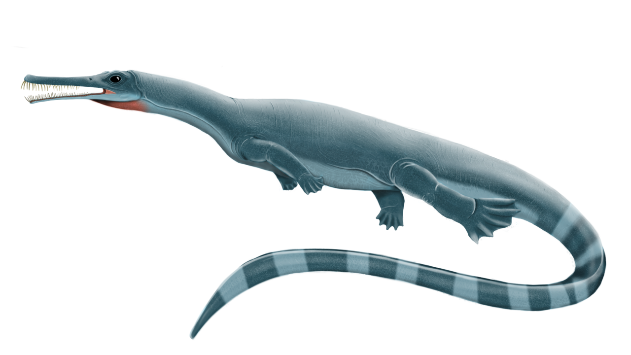 1. Mesosaurus – The Slim, Early Pioneer of the Seas 