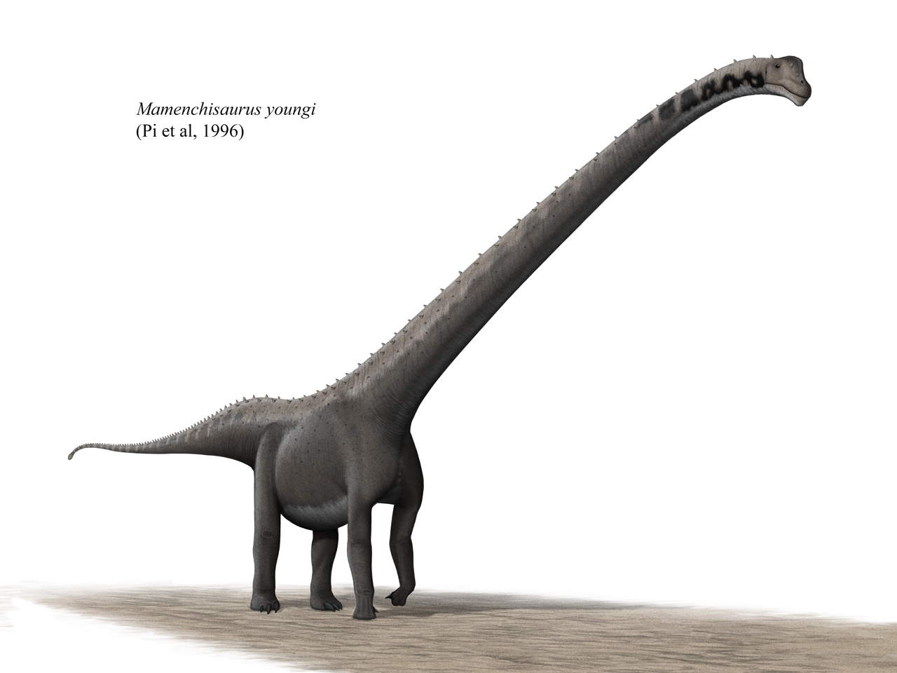 8. Mamenchisaurus: The Extreme Long-Necked Giant