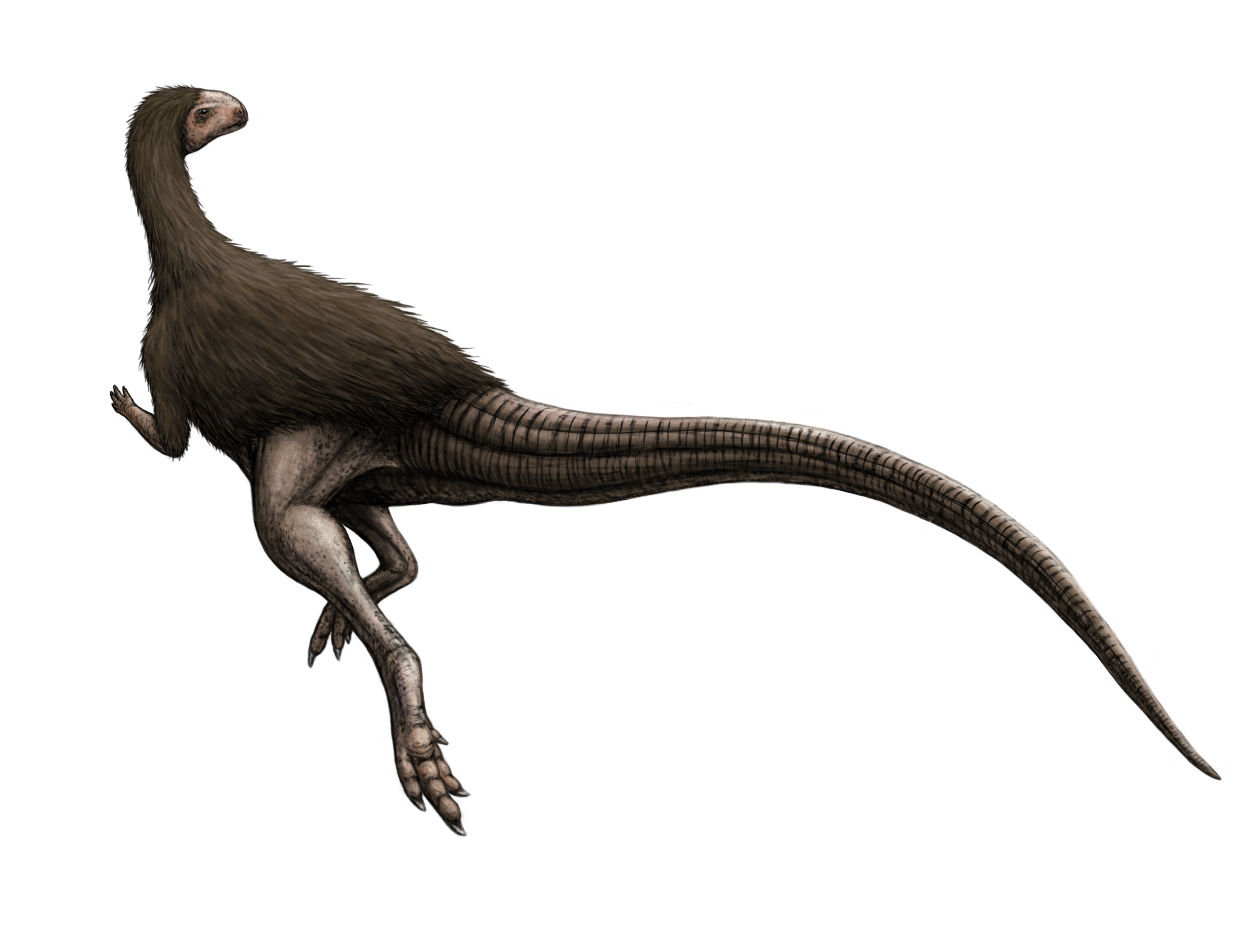 Life in the Dark: How Polar Dinosaurs Might Have Survived Extremes 