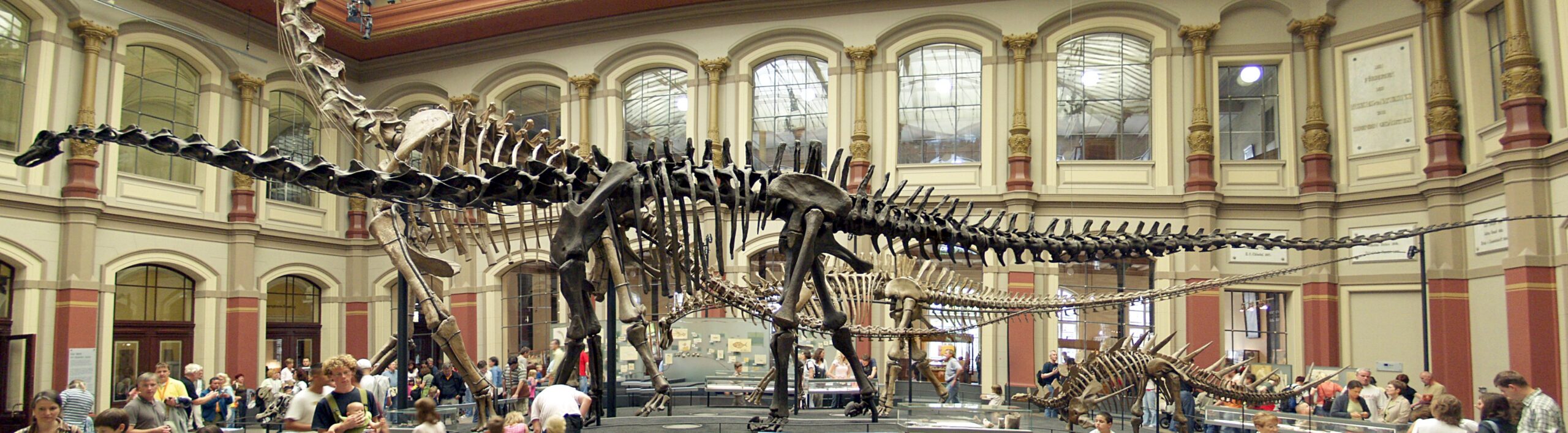 Museum für Naturkunde, Berlin, Germany