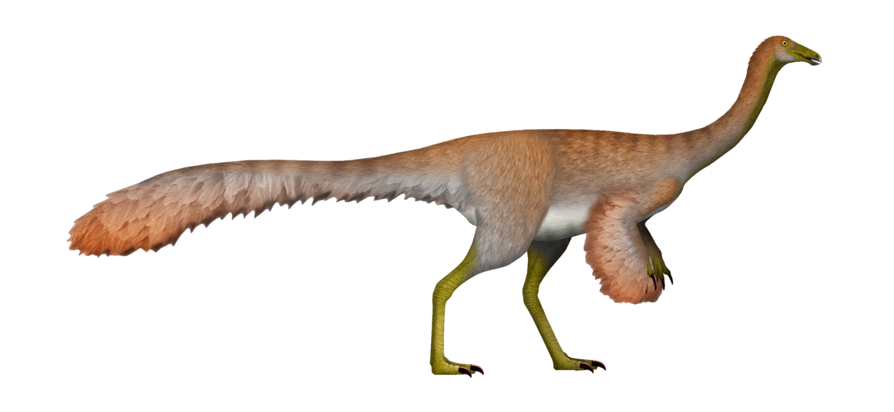 8. Ornithomimids: The “Ostrich Dinosaurs” on the Move