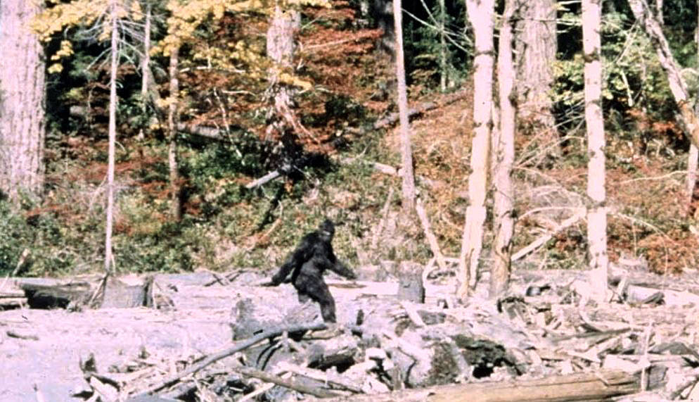 The Patterson–Gimlin Film: Bluff Creek’s Walking Mystery 