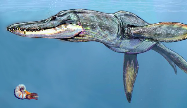 6. Pliosaurus funkei (The “Predator X” Pliosaur) – The Ultimate Marine Mauler