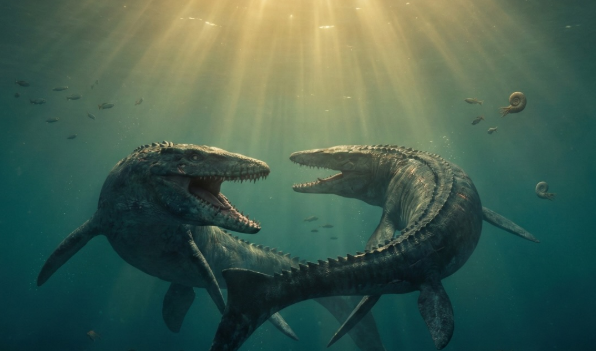 Mosasaur-on-Mosasaur Warfare in Ancient Seas 