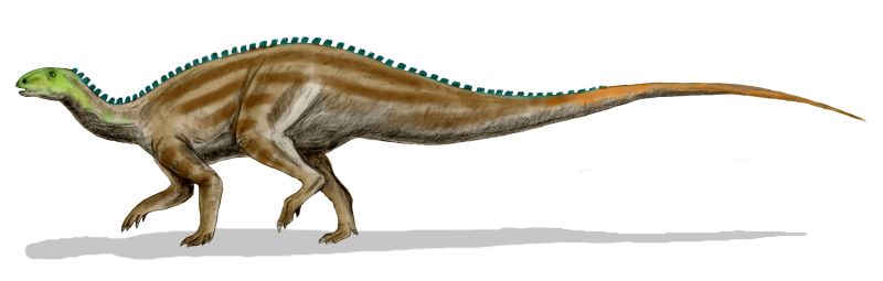 10. Tenontosaurus: The Workhorse Herbivore of the Mid-Cretaceous