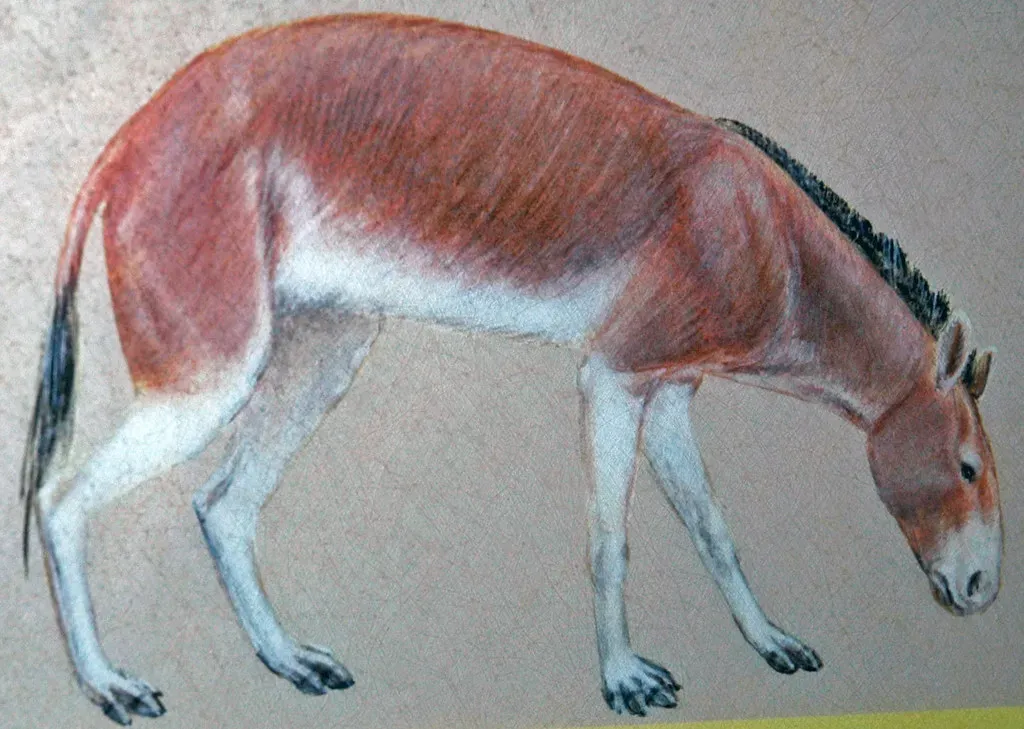 Did Horses Exist in Prehistoric Times in America