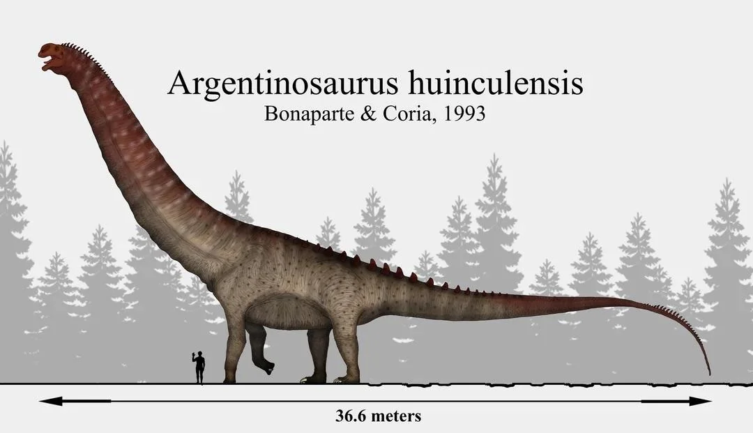 You’re Meeting a Titan Belonging to the Sauropod Dynasty