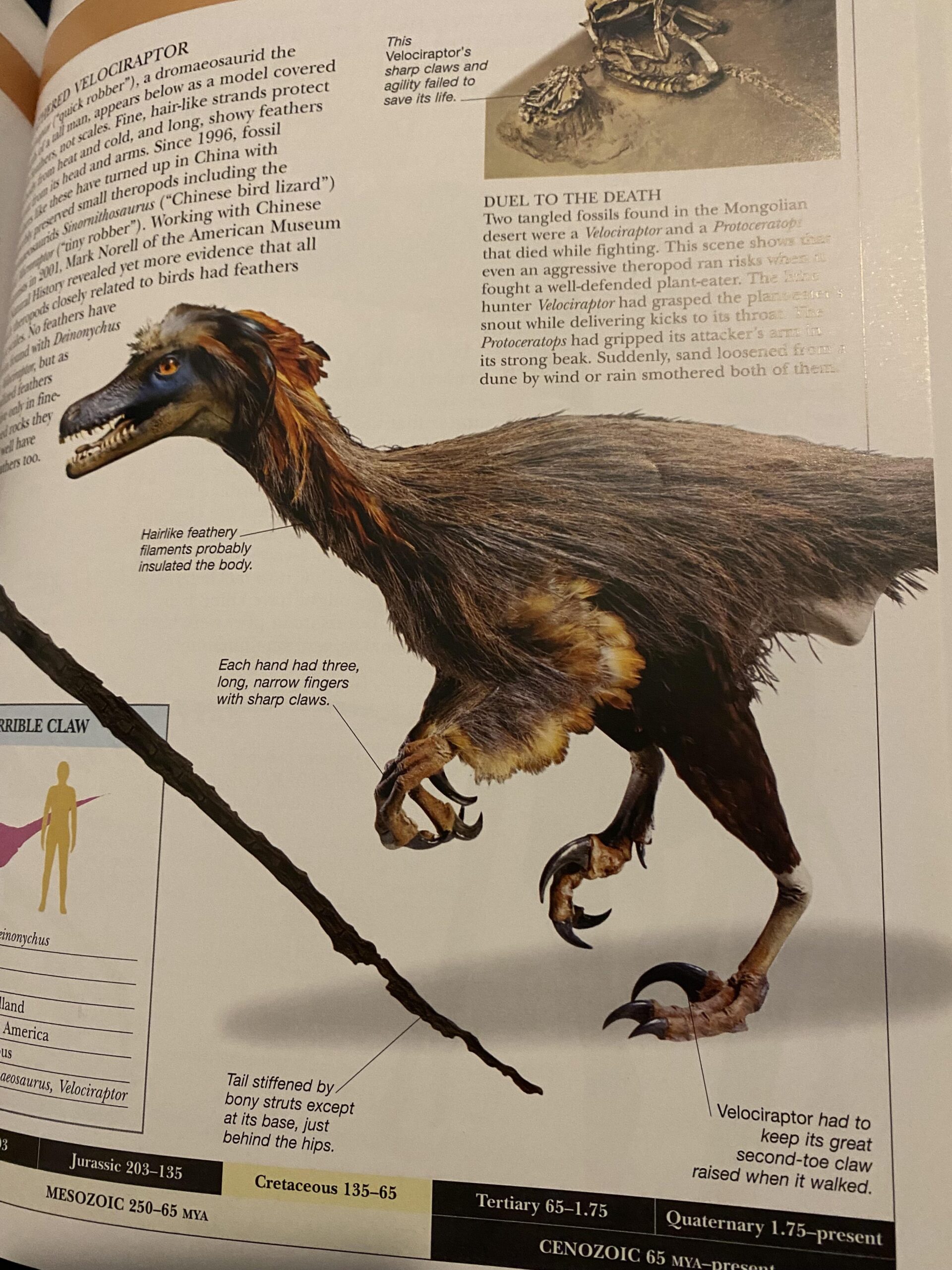 Revisiting those books today in the age of feathered dinosaurs