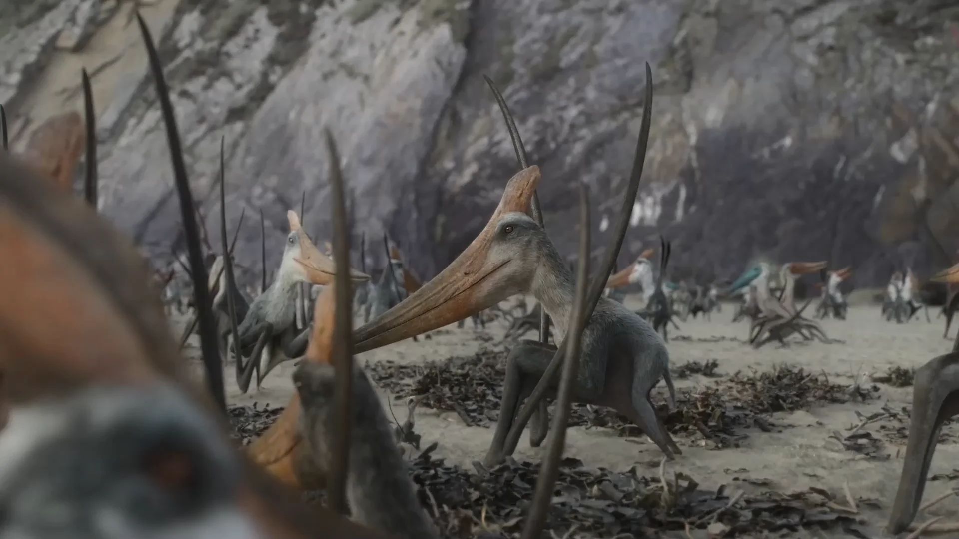 9. Baby Pterosaurs May Have Been Ready to Fly Soon After Hatching