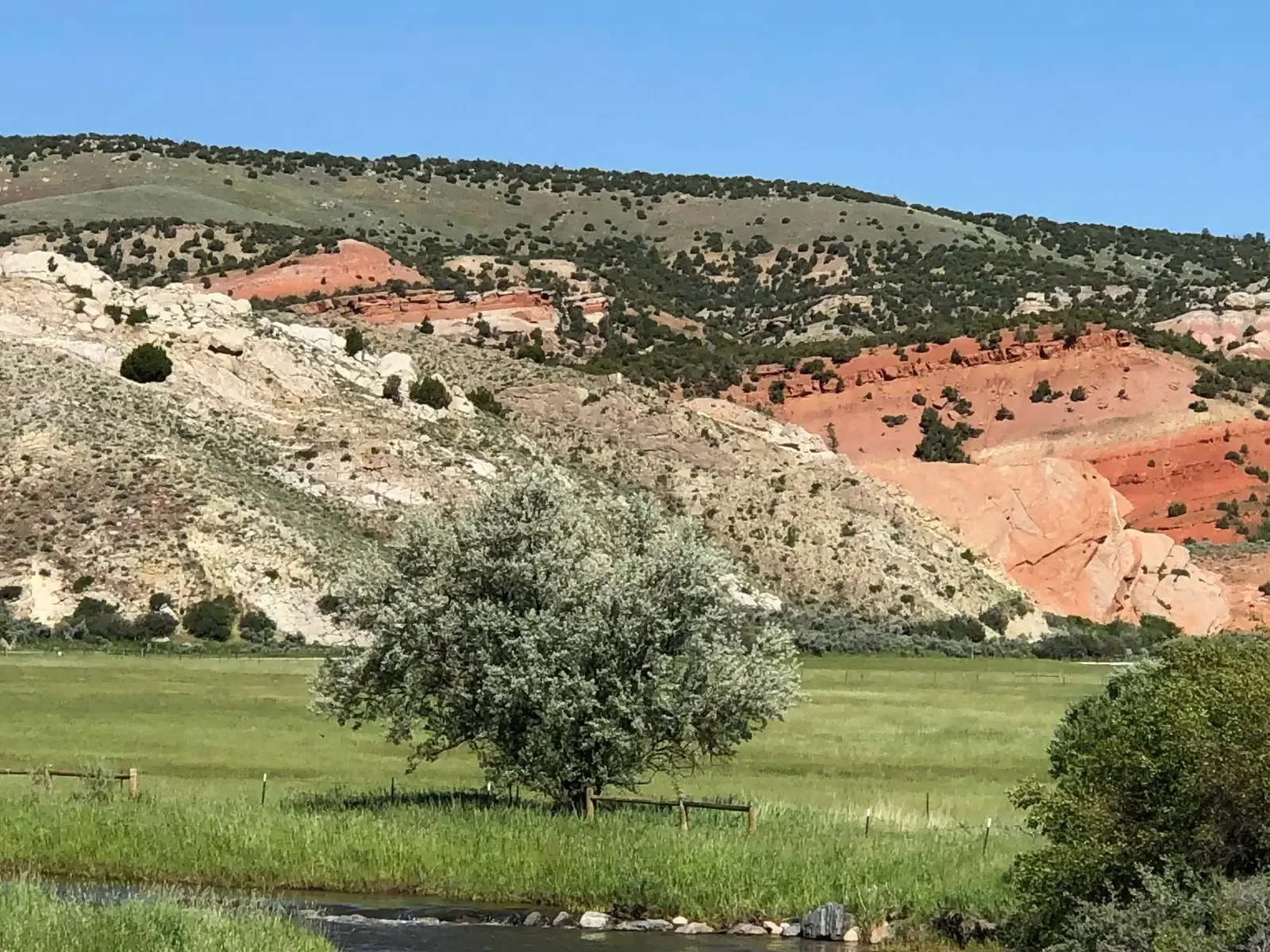 Como Bluff and Bone Cabin Country, Wyoming: The Classic Fossil Frontier