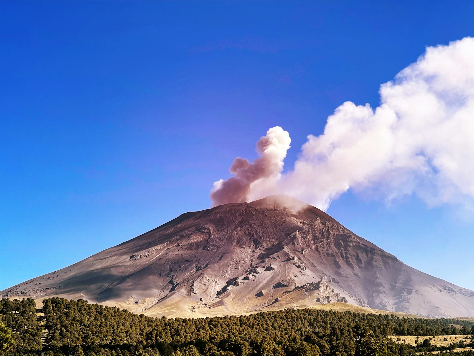 Climate on the Edge: Super Greenhouse Worlds and Sudden Shocks