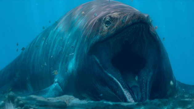Conclusion: Imagining Your Ocean With Mosasaurus in It