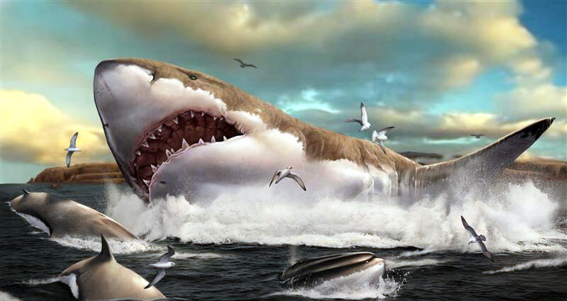 6 Zodiac Signs Whose Ancient Spirit Echoes the Giant Megalodon's Power
