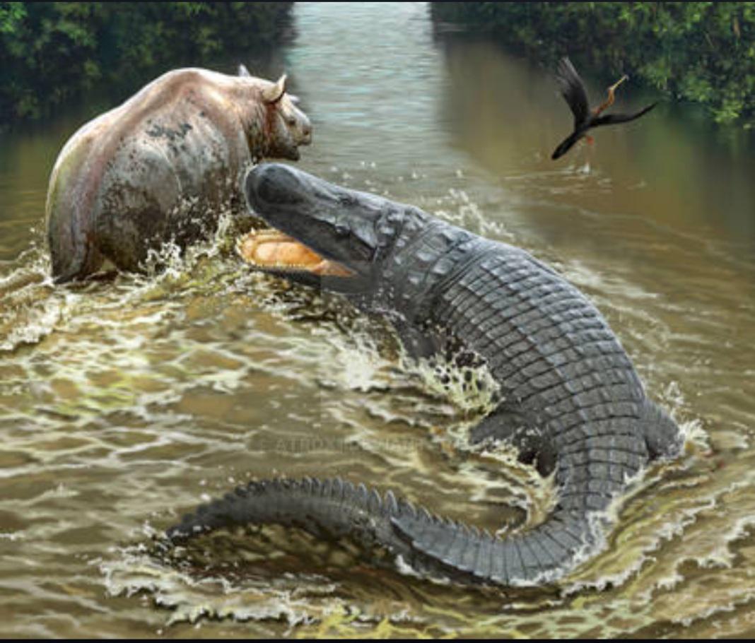 Bite Forces and Bone‑Crushing Jaws You Would Not Survive