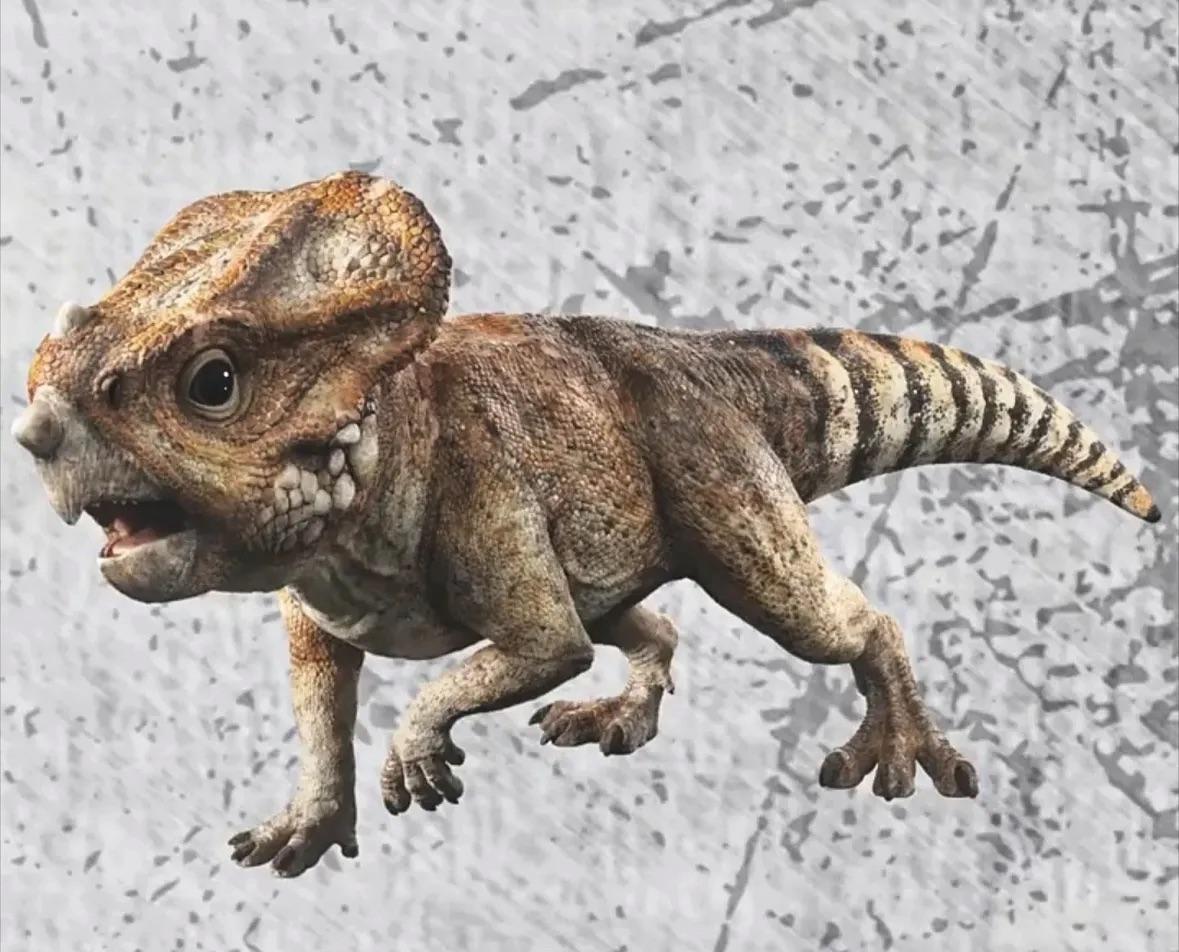 Conclusion: A Small Dinosaur With A Big Story