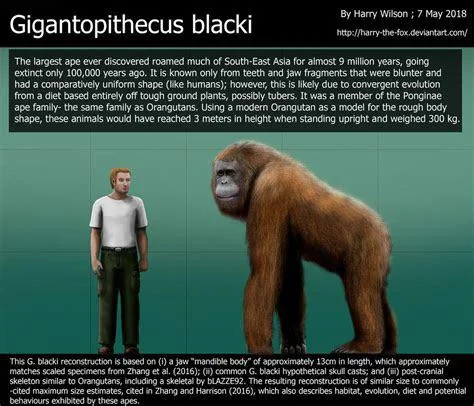 What Giant Primates Teach You About Evolution and Survival
