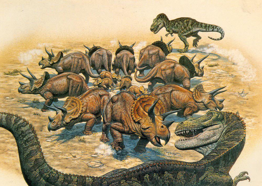 Social Behavior and Lifestyle: Herd Browser vs Solitary Hunter