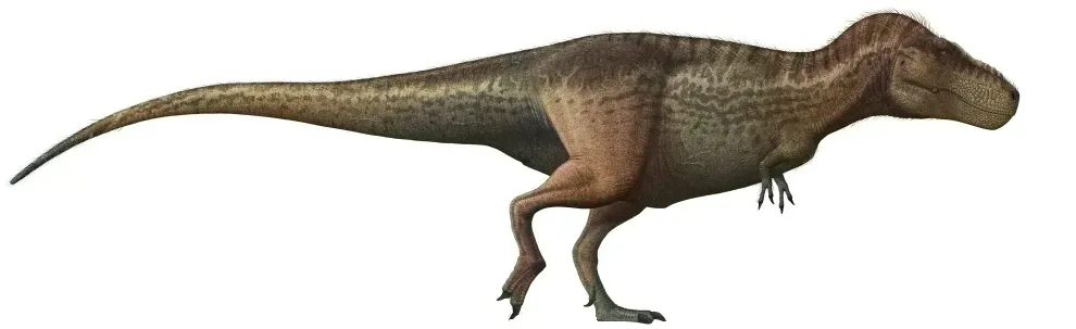 9 Things Every Palaeontologist Privately Admits About T-Rex That Museums Are Still Catching Up With
