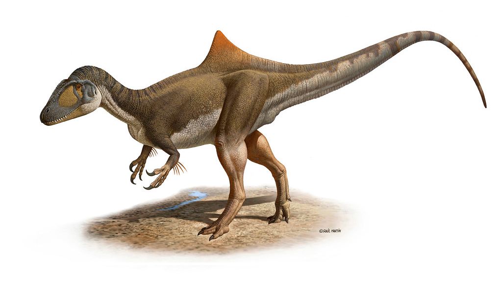 5 Dinosaur Species Discovered in the Last Decade That Are Stranger Than Anything in Fiction