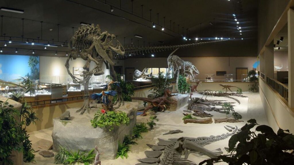 The Prehistoric “Facts” Museums Still Present Like Science Even Though Experts Disagree
