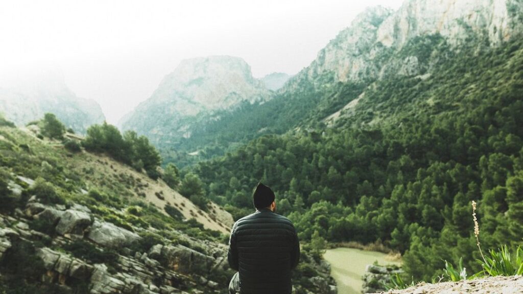 Why Humans Feel Emotionally Different Near Oceans, Mountains, and Forests According to Evolution