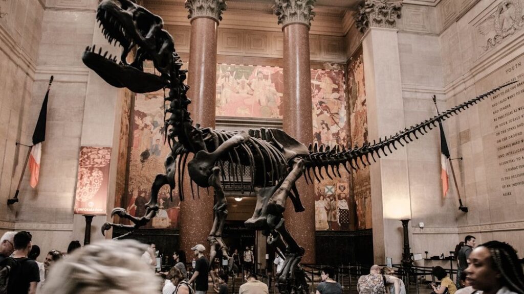 8 Ways Museums Quietly Simplify Prehistoric History to Make It Easier for Visitors
