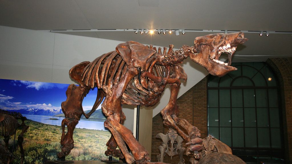 The Forgotten Age When Giant Sloths Walked Through the Americas